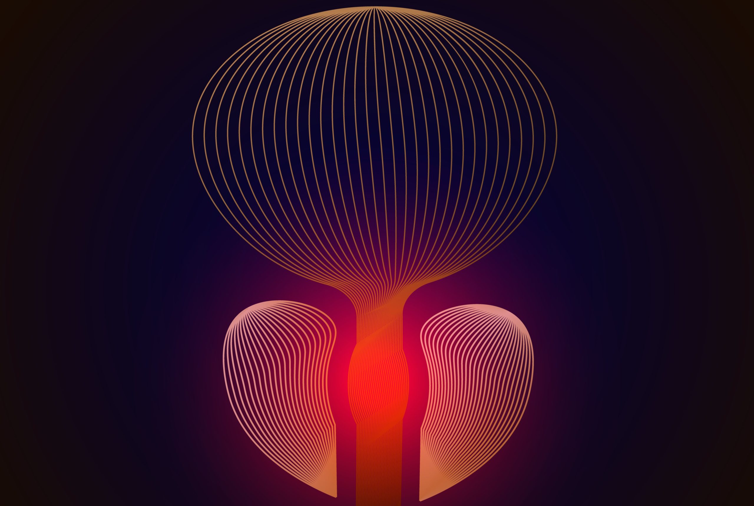 Warum entsteht eine Prostataentzündung?