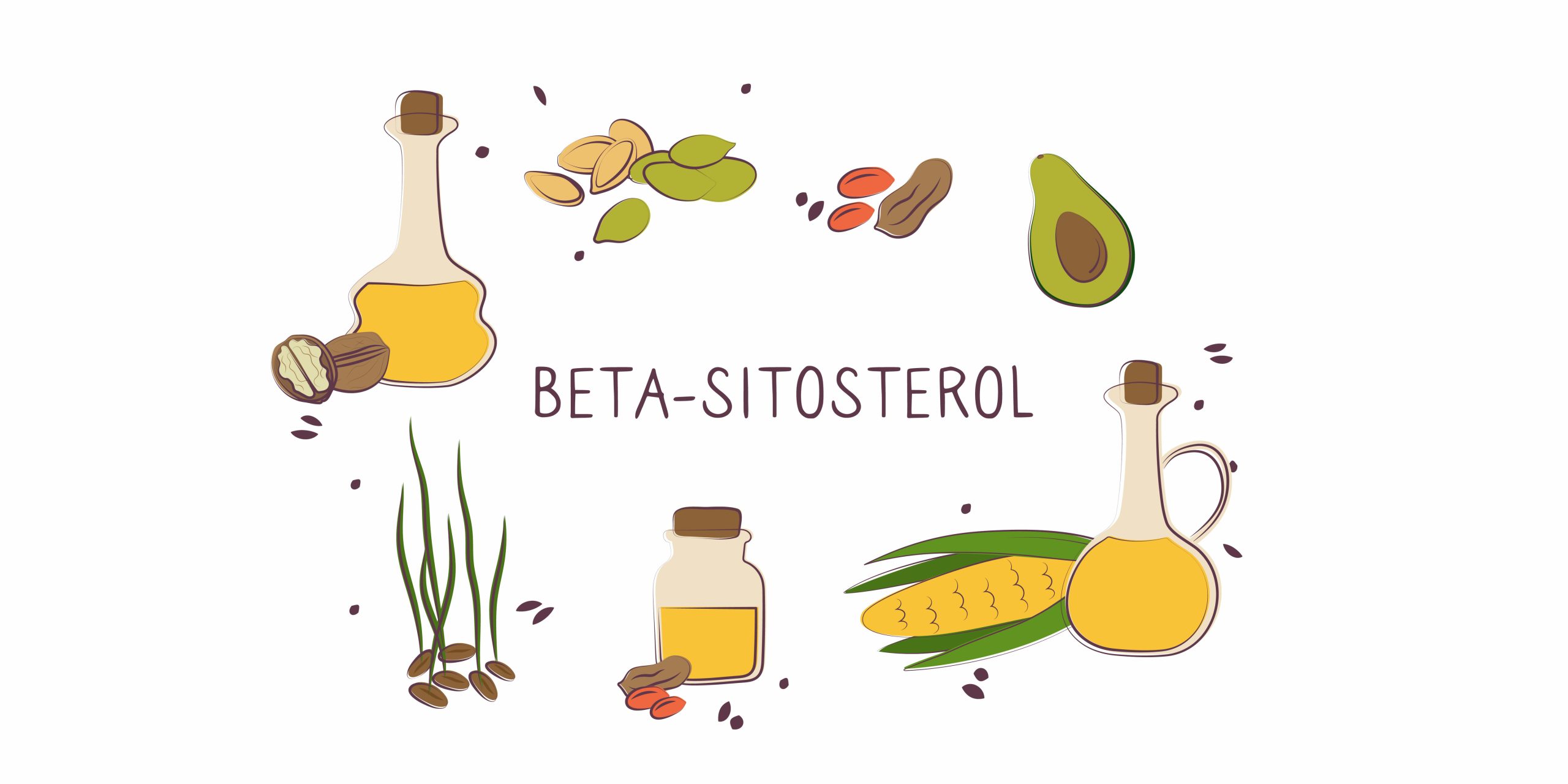 Herz, Haut, Prostata: Dieser Pflanzenstoff hat viel Gesundheits-Power