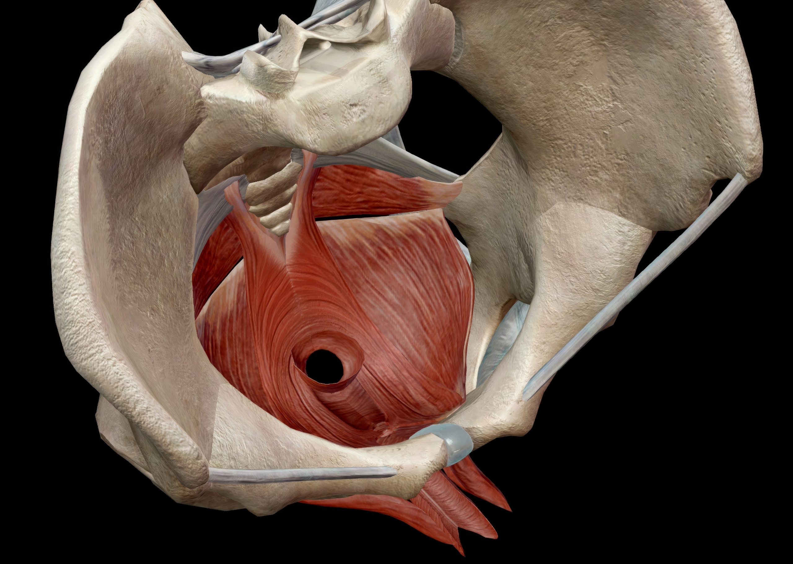 Wie Sie mit „Schaukeln“ Ihre Durchhaltefähigkeit im Bett steigern