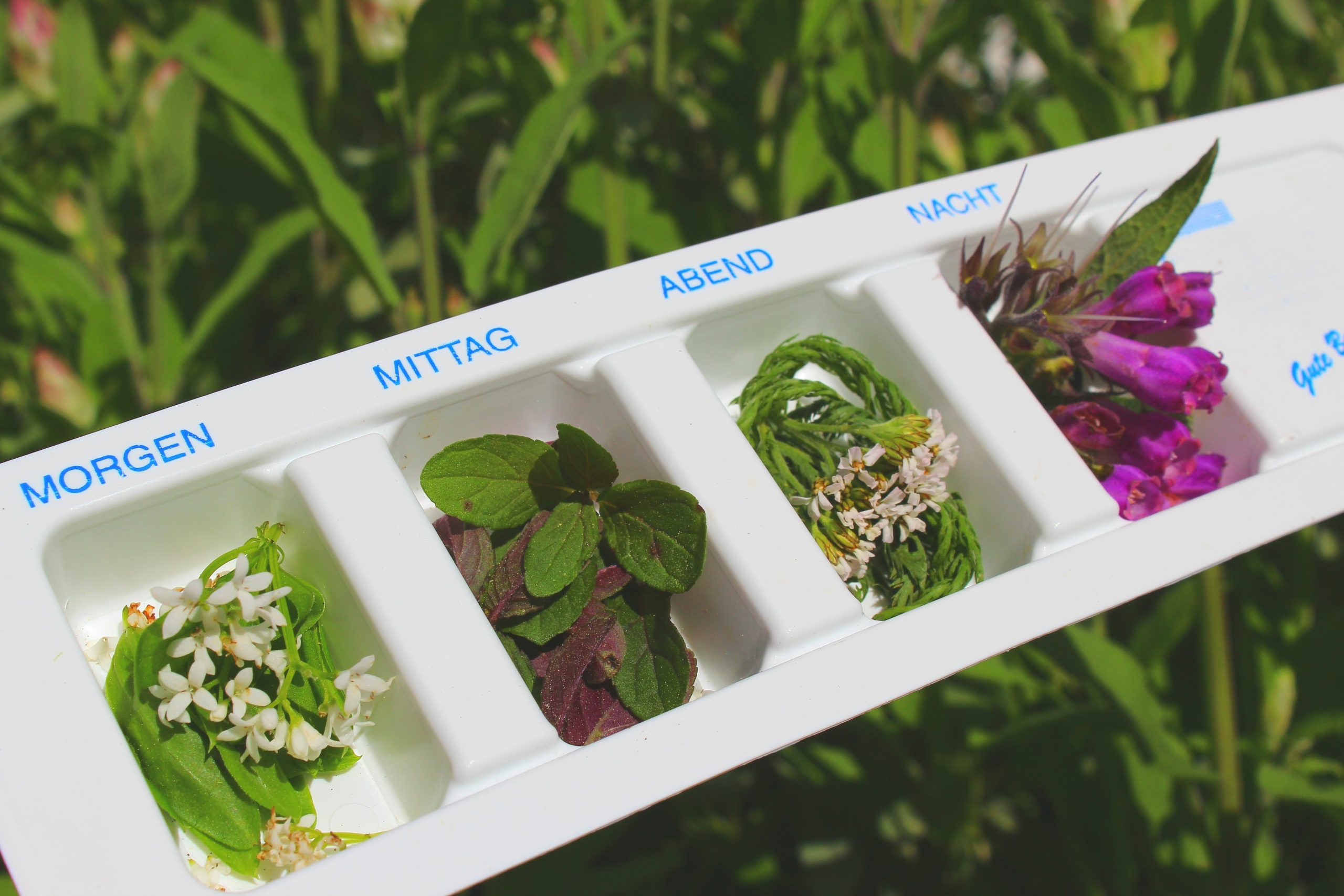 Wie die zyklische Einnahme von natürlichen Potenzförderern für Sie zu einem Erektionswunder wird