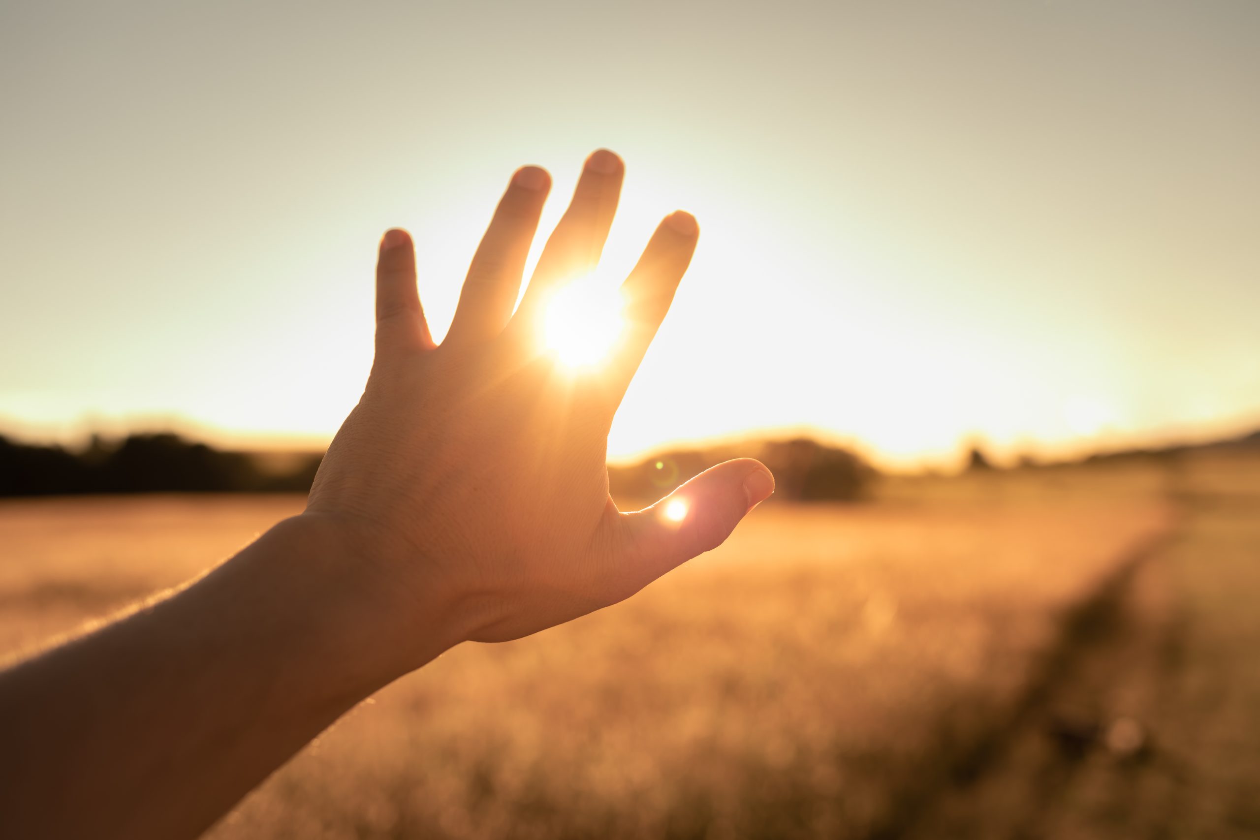 Prostatakrebs: Licht lässt Tumore schmelzen – für wen ist das neue Verfahren sinnvoll?